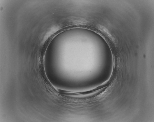 X0000089711261200706211334