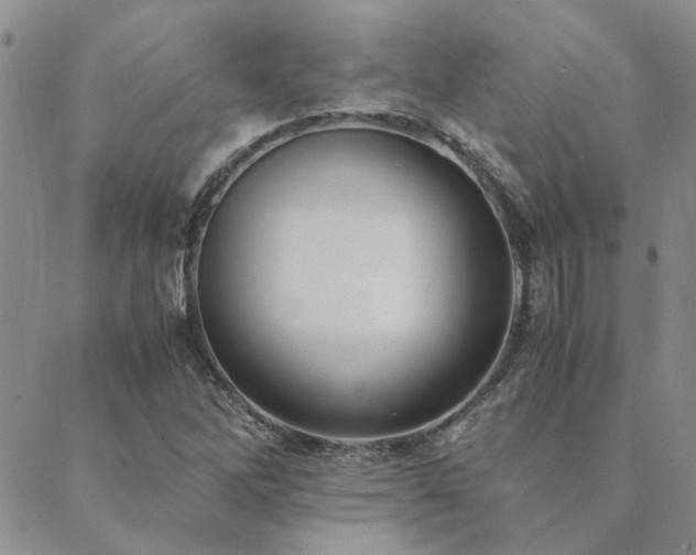 X0000089711262200706211334