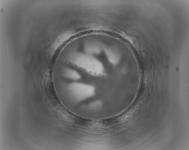 X0000089711263200706211334