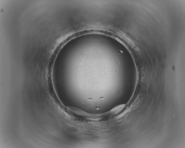 X0000089711264200706211334