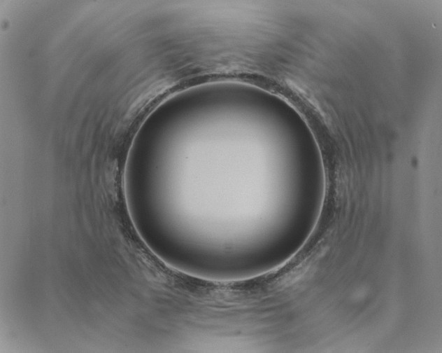 X0000089711265200706211334