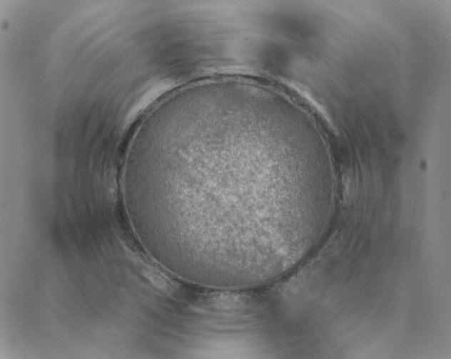 X0000089711266200706211334