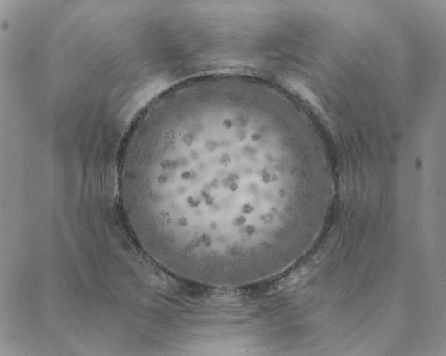 X0000089711267200706211334