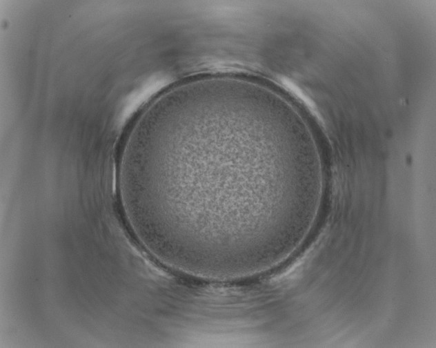 X0000089711269200706211334