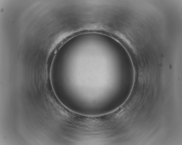 X0000089711270200706211334