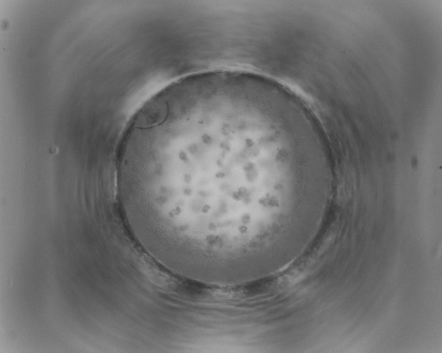 X0000089711271200706211334