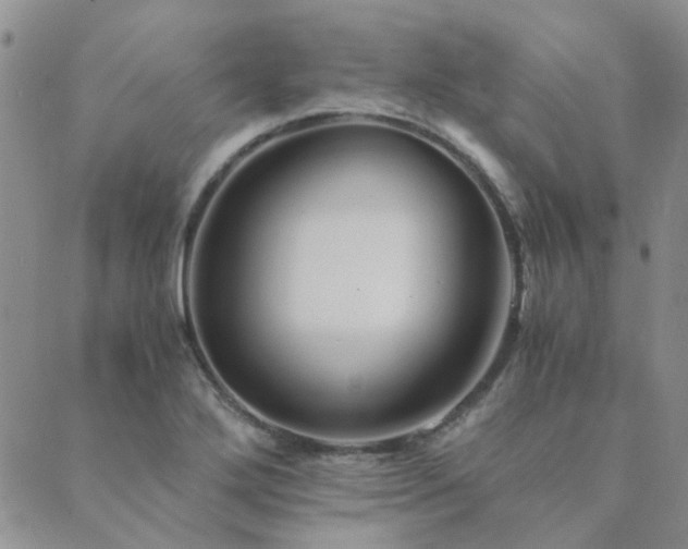 X0000089711272200706211334