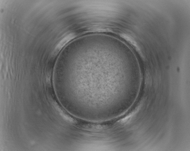 X0000089711273200706211334