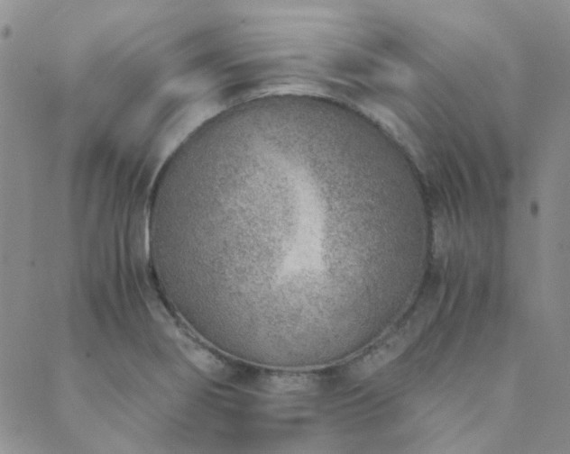 X0000089711274200706211334