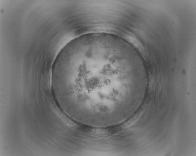 X0000089711275200706211334