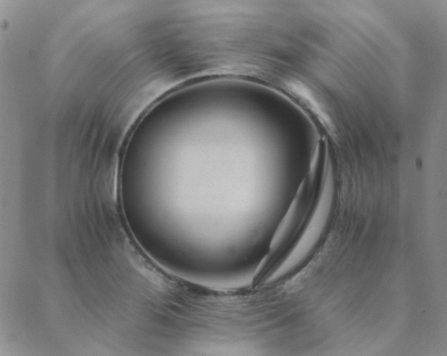 X0000089711276200706211334