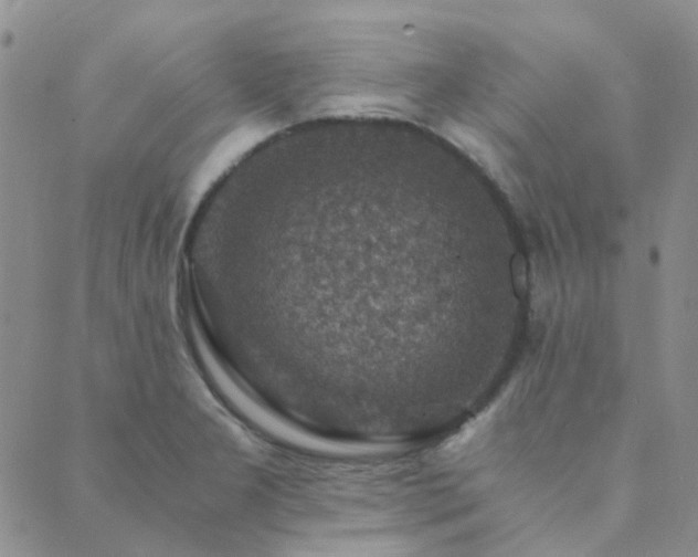 X0000089711277200706211334