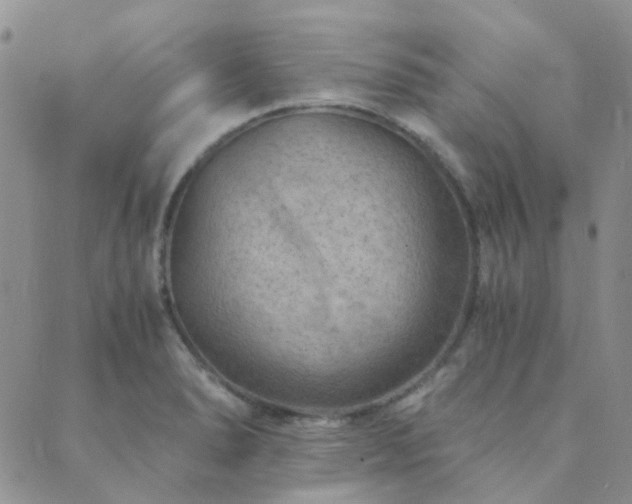 X0000089711278200706211334