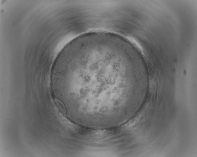 X0000089711279200706211334