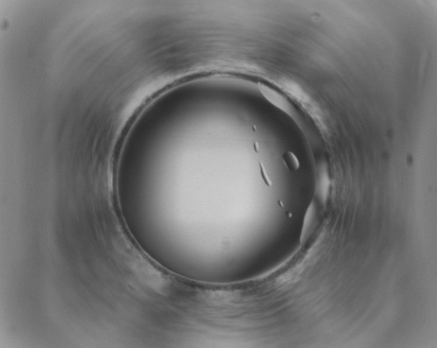 X0000089711280200706211334