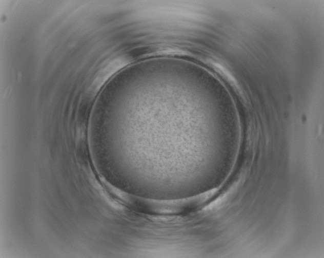 X0000089711281200706211334