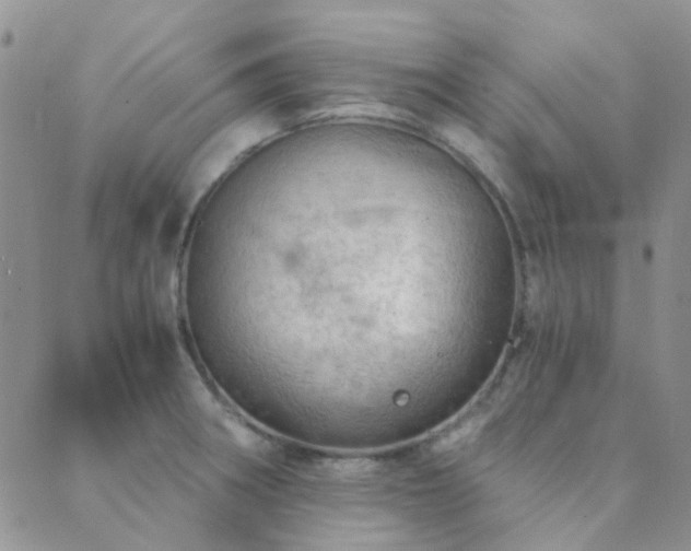 X0000089711282200706211334