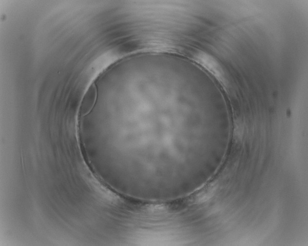 X0000089711283200706211334