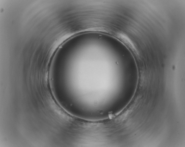 X0000089711284200706211334