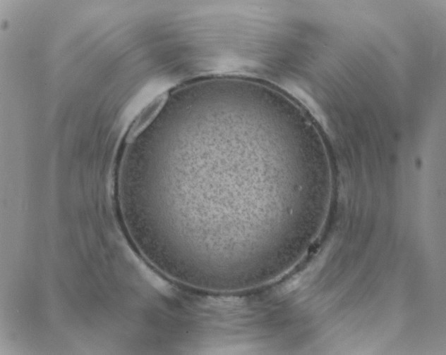 X0000089711285200706211334