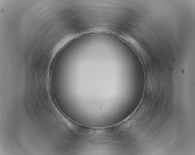 X0000089711286200706211334