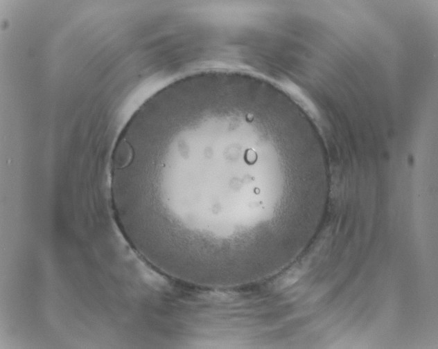 X0000089711287200706211334