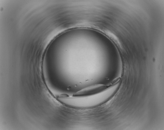 X0000089711288200706211334