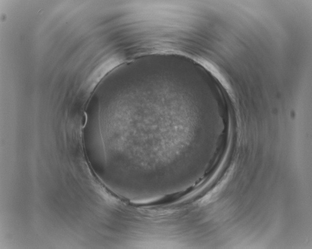 X0000089711289200706211334