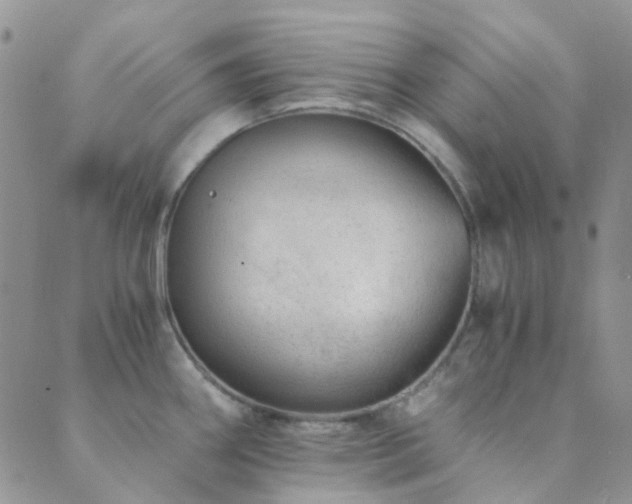 X0000089711290200706211334