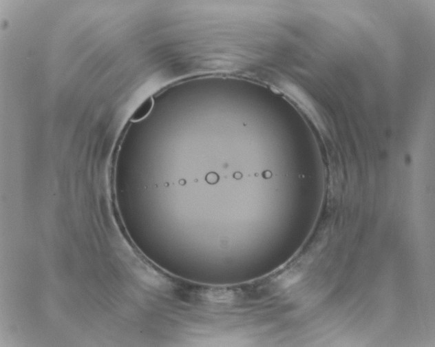 X0000089711291200706211334