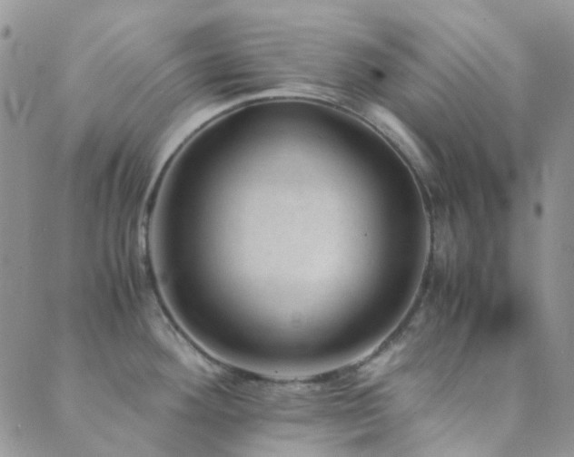 X0000089711292200706211334