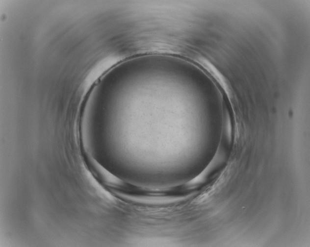 X0000089711293200706211334