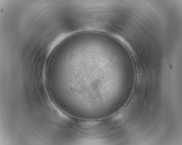 X0000089711294200706211334