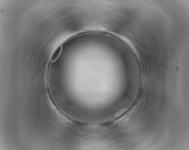 X0000089711295200706211334