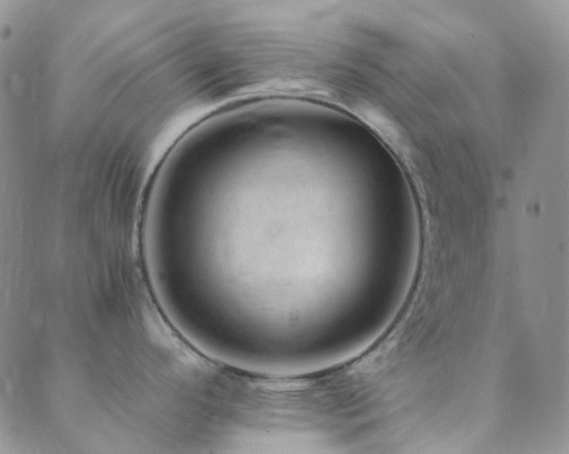 X0000089711296200706211334