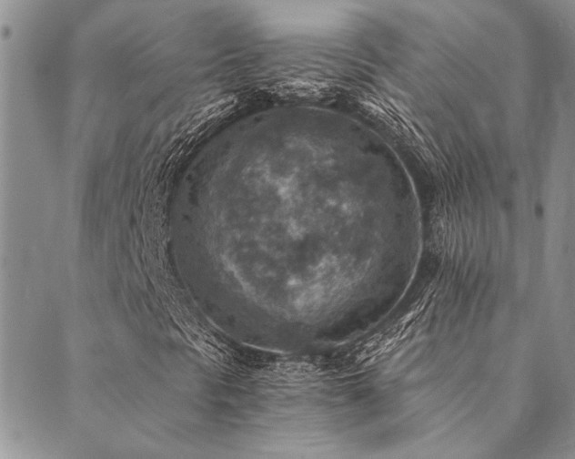 X0000089711297200706211333