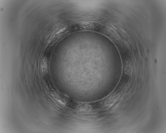 X0000089711298200706211333