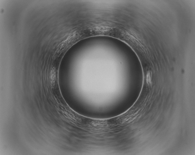 X0000089711299200706211333