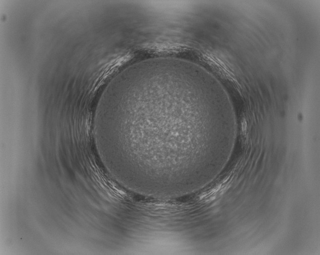 X0000089711300200706211333