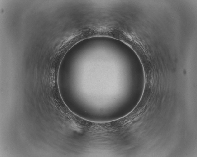 X0000089711301200706211333