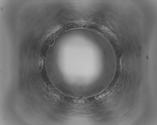 X0000089711302200706211333