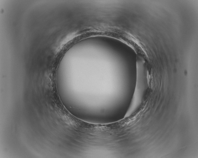 X0000089711304200706211333