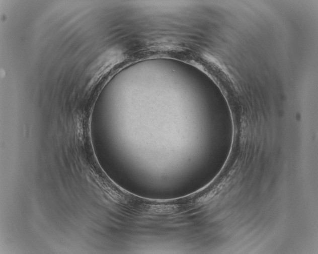 X0000089711305200706211333