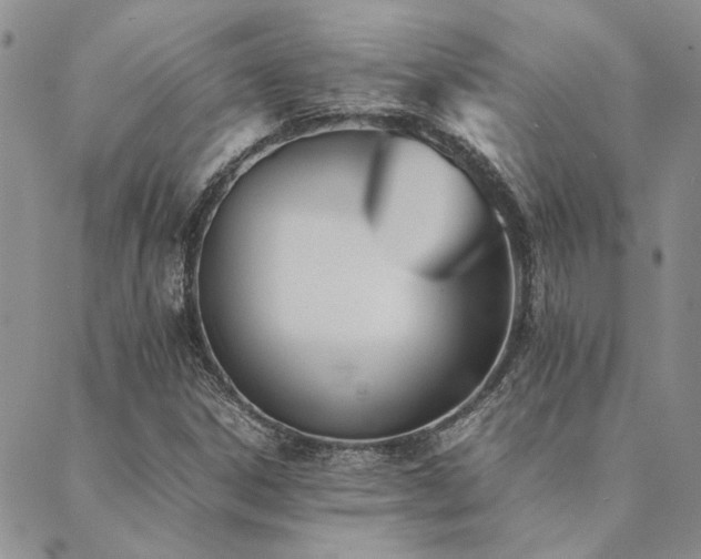 X0000089711306200706211333