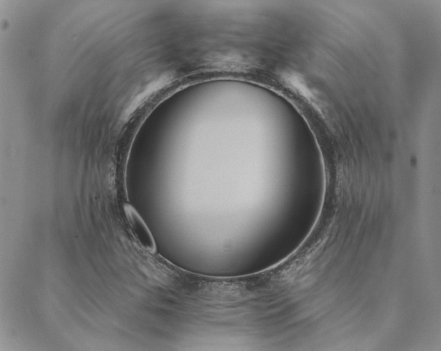 X0000089711307200706211333