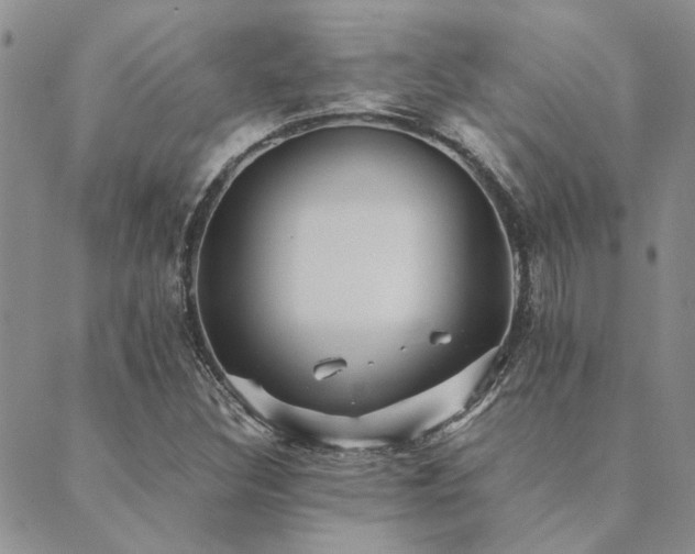 X0000089711308200706211333