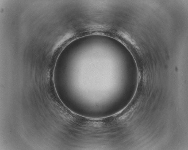 X0000089711309200706211333