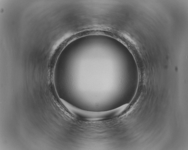 X0000089711310200706211333