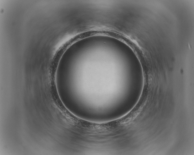 X0000089711311200706211333