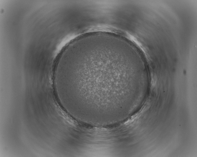 X0000089711312200706211333